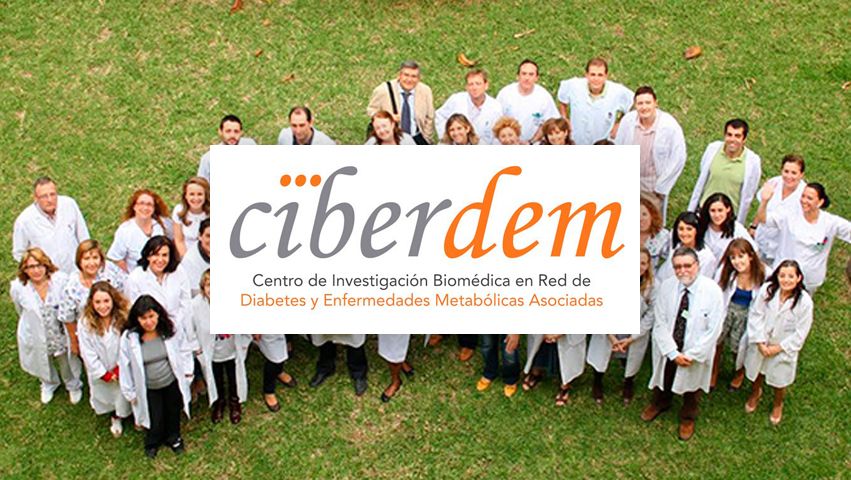 Visita a CIBERDEM