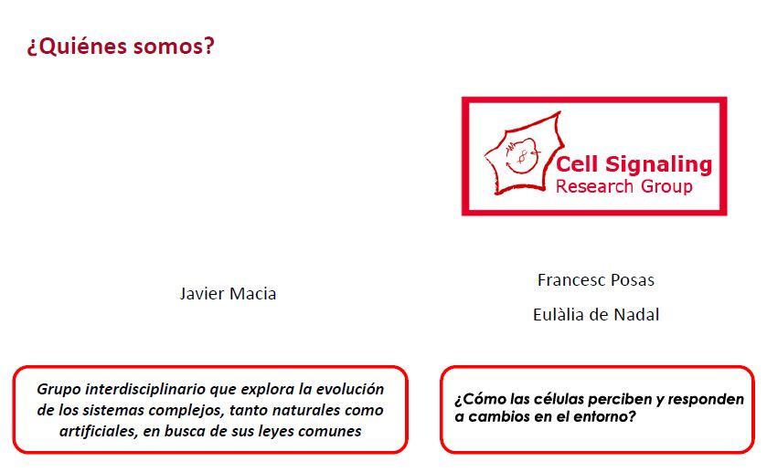 Esta imagen se ha eliminado. Por razones de seguridad, sólo se permiten imágenes de dominio local.