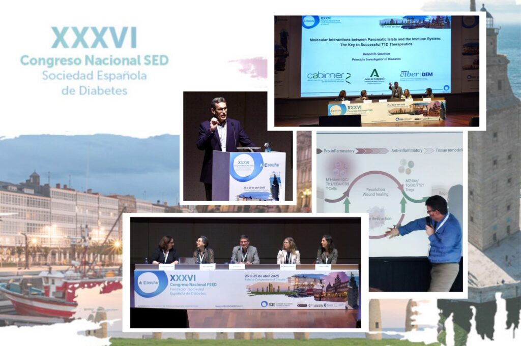 avances-hacia-la-cura-de-la-diabetes-tipo1