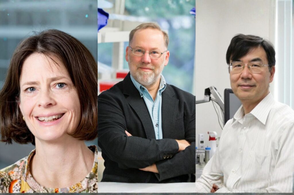 premio-nobel-de-medicina-2025