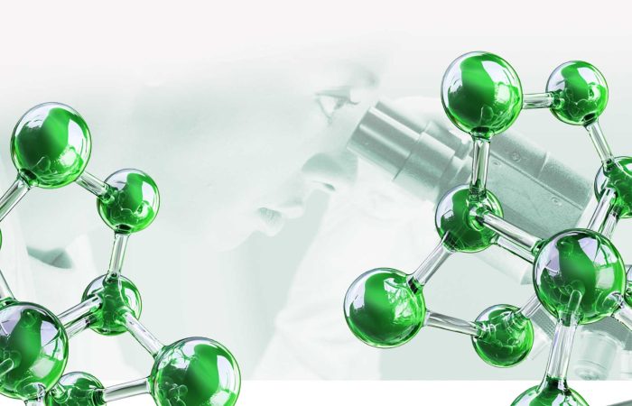 Frontiers in T1D Cure de la Fundación DiabetesCERO.