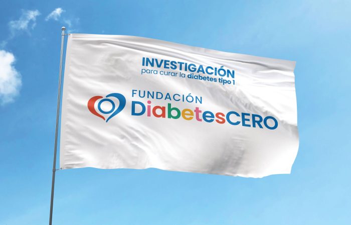 Logros 2024, Fundación DiabetesCERO.